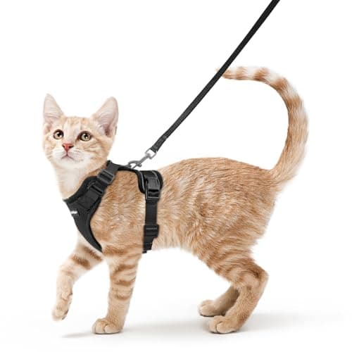 8 Best Cat Harnesses in 2026 — Escape-Proof Picks for Safer Walks