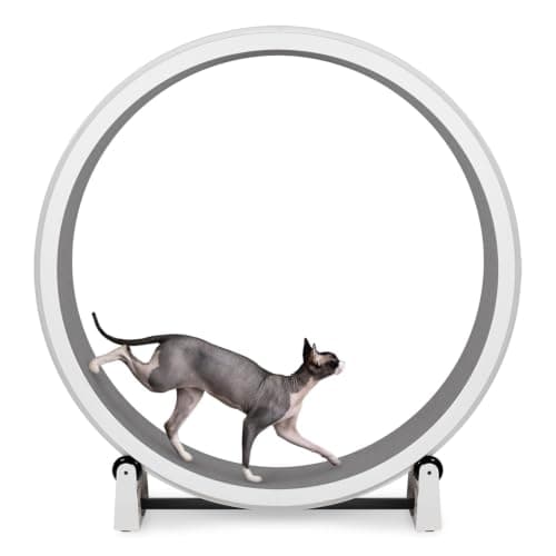 One Fast Cat Exercise Wheel, Gen 7, Safe 48” Diameter, Made in the USA