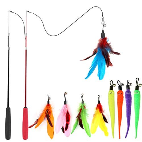 8 Best Cat Wand Toys in 2026 — Top Picks for Indoor Exercise, Chase Play, and Bonding