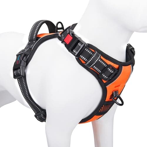 8 Best Dog Harnesses in 2026 — Safer No-Pull Walks, Better Fit, Less Strain