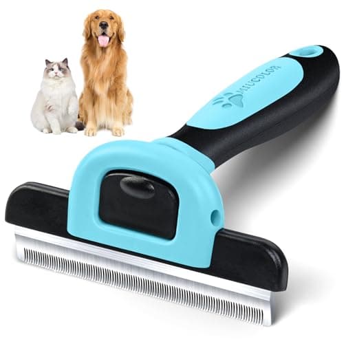8 Best Cat Deshedding Tools in 2026 — Reduce Fur Fast Without the Fuss