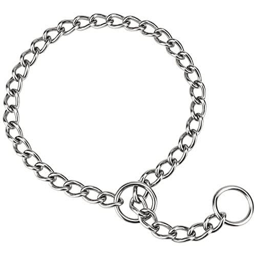 What is a Dog Collar Sizing Guide? A Complete 2026 Guide