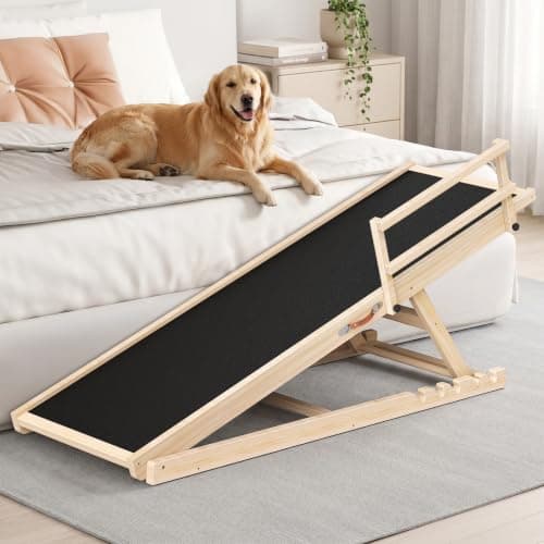 How to Choose the Best Dog Ramp for Large Breeds in 2026: Complete Buying Guide