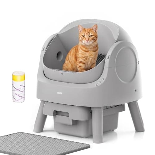 8 Best Automatic Litter Boxes for Multiple Cats in 2026 — Easier Scooping, Better Odor Control