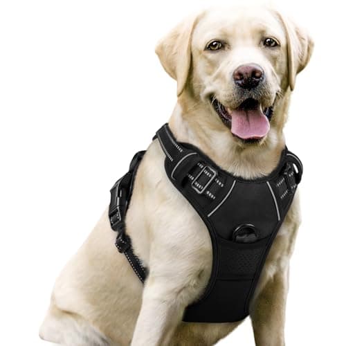 rabbitgoo Dog Harness, No Pull for Large Dogs with 2 Leash Clips, Pet Vest
