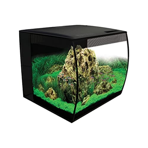 Fluval Flex 57 - 15 Gallon Nano Glass Aquarium Kit Review (2026): Specs, Pros & Cons, and Who It's For