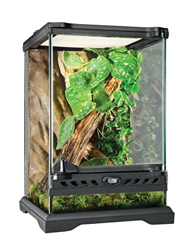 Exo Terra Glass Nano Terrarium Kit, 8 x 8 x 12 Inches Review (2026): Specs, Pros & Cons, and Who It's For