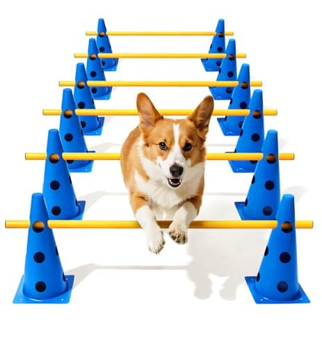 8 Best Indoor Dog Agility Sets in 2026 — Easy, Space-Smart Training for Apartments and Small Rooms