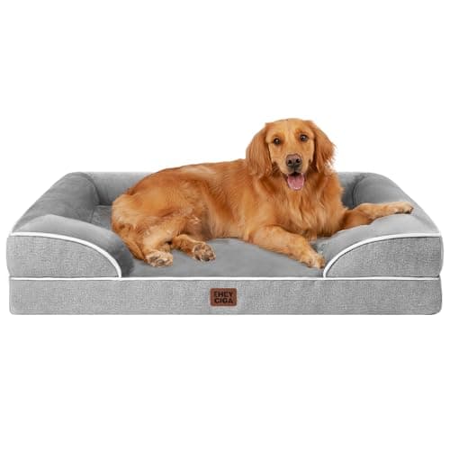 8 Best Dog Beds in 2026 — Orthopedic Comfort, Calming Support, and Budget-Friendly Picks