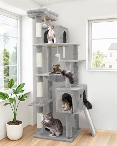 8 Best Cat Trees for Large Cats in 2026 — Sturdy Picks That Actually Fit Big Felines