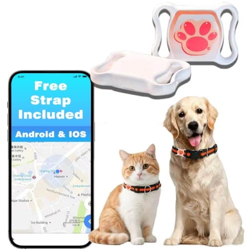 8 Best GPS Trackers for Cats with Long Battery Life in 2026 — Best No-Subscription Options for Escape-Prone Cats