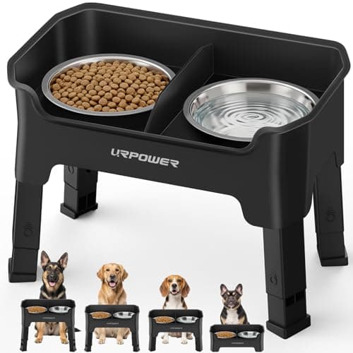 How to Choose the Best Dog Bowl Size in 2026: Complete Buying Guide