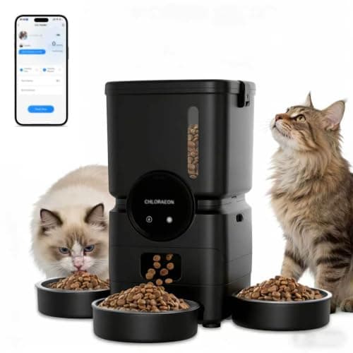 5 Best Multi-Cat Automatic Feeders with Separate Portions in 2026 — Stop Food Stealing and Simplify Mealtimes