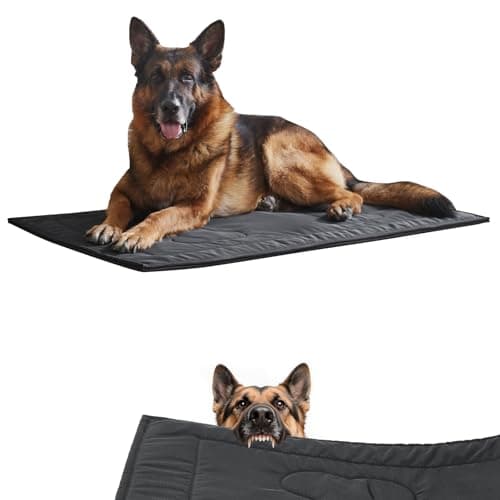 8 Best Chew Proof Dog Beds in 2026 — Tough Picks That Help Stop Destruction