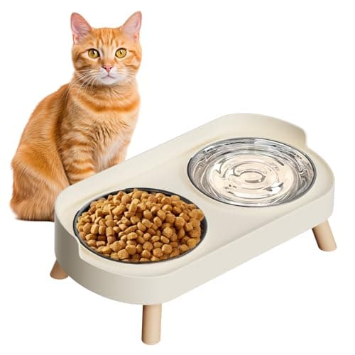 8 Best Cat Bowls in 2026 — Whisker-Friendly Picks That Cut Mess and Make Mealtime Easier