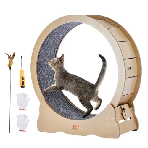 VEVOR Cat Exercise Wheel, Large Cat Treadmill Wheel for Indoor Cats, 35.8 inch Pet Running Wheel with Detachable Carpet and Teaser for Running/Walking/Training, Suitable for Most Cats