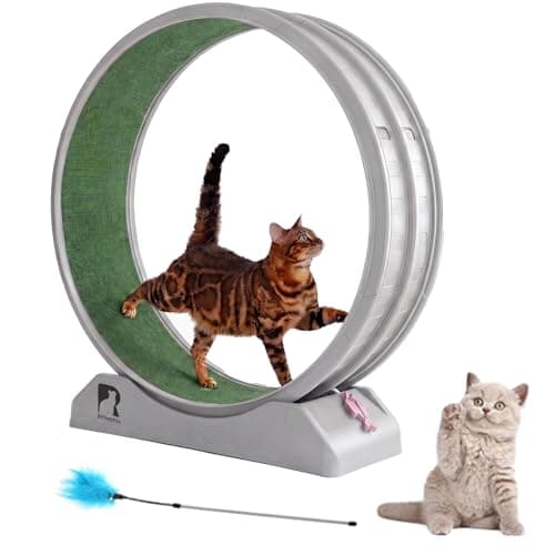 Cat Exercise Wheel, 31.5 Inch Indoor Treadmill for Cats with Carpeted Runway, Screw-Fixed Assembly for Easy Setup, Silent & Safe Fitness Equipment for Most Cats