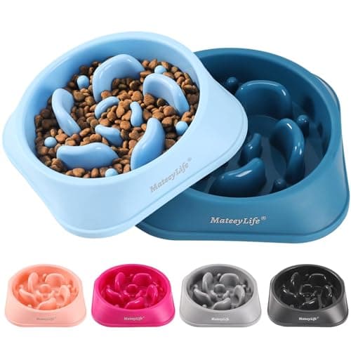 Do Slow Feeders Help with Bloat? Review (2026): Specs, Pros & Cons, and Who It's For