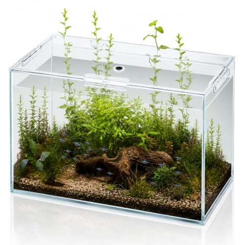 10 Gallon Glass Fish Tank Open-Back Lid, Aquarium Fish Bowl Cube for Betta Goldfish Snails Shrimp Aquatic Planting, Ultra Clear Rimless Low Iron