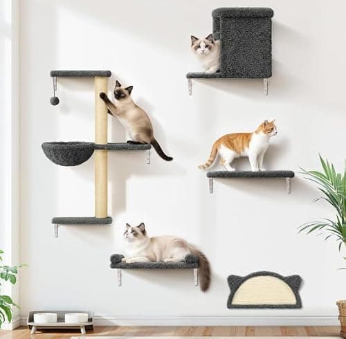 8 Best Cat Climbing Shelves for Walls in 2026 — Space-Saving Vertical Play for Every Cat