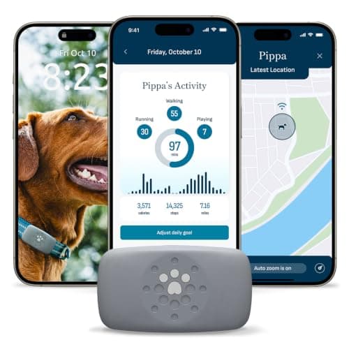 8 Best Dog Activity Trackers in 2026 — Smarter Tracking for Safer Walks, Better Health, and Fewer Escape Scares