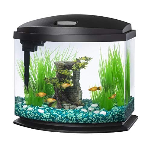 Aqueon MiniBow Small Aquarium Starter Kit, All-in-One Desktop Fish Tank for Betta, Shrimp or Small Fish, Includes SmartClean Filter Technology, LED Light and Conditioner, Black, 5 Gallon