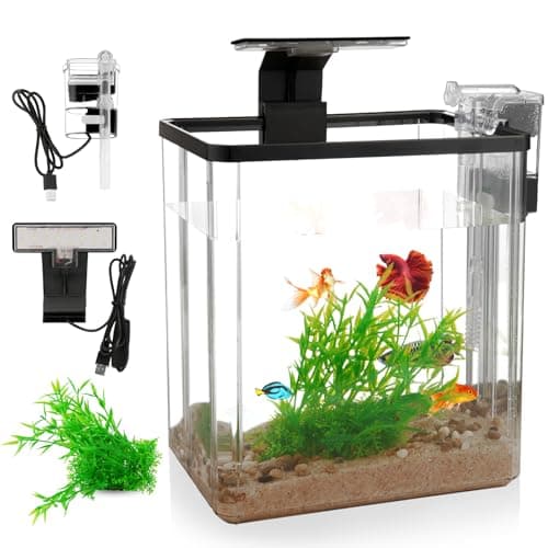 What is the Best Tank Size for Goldfish? A Complete 2026 Guide