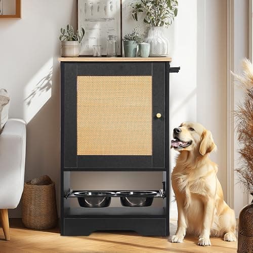 Feeding Station with 1 Storage Cabinets, Pet Feeding Station with 2 Elevated Dog Bowls, Side Hooks, Anti-tip Kit, Hidden Pet Feeder Station for Feeding & Watering, Black