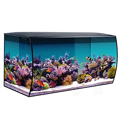 7 Best Saltwater Aquarium Kits in 2026 — Easier Setup, Better Filtration, and Cleaner Reef-Ready Designs