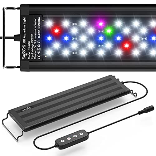8 Best LED Aquarium Lights for Plants in 2026 — Brighter Growth, Easier Tank Control