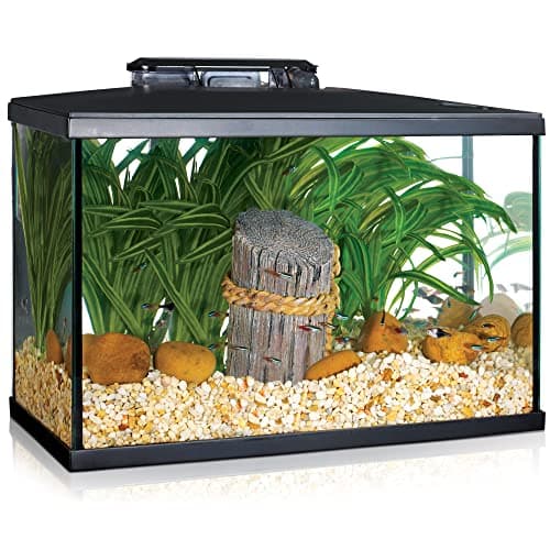 Marina 5 Gallon (19 L) LED Aquarium Kit