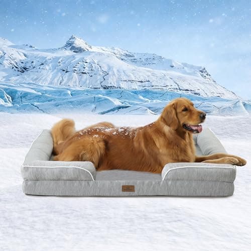 8 Best Cooling Dog Beds in 2026 — Cooler Sleep for Hot, Restless Dogs