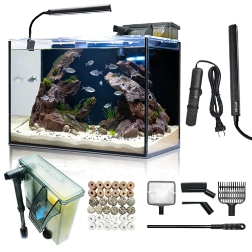 8 Best 10 Gallon Fish Tanks in 2026 — Top Starter Kits for Easier Setup and Cleaner Water