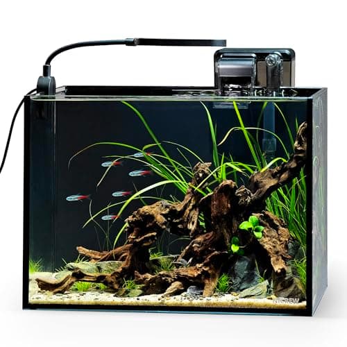 NICREW 2.5 Gallon Nano Nature Aquarium Kit, Ultra-Clear Rimless Desktop Fish Tank with Light and Filter, Perfect for Small Fish, Shrimp, or Betta, Basic Version, Black