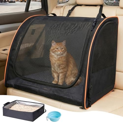 How to Choose the Best Cat Car Seat in 2026: Complete Buying Guide
