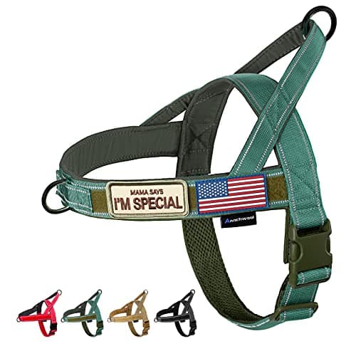 Annchwool No Pull Dog Harness with Soft Padded Handle,Reflective Strip Escape Proof and Quick Fit to Adjust Harness,Easy for Training Walking for Small & Medium and Large Dogs(Green,L)