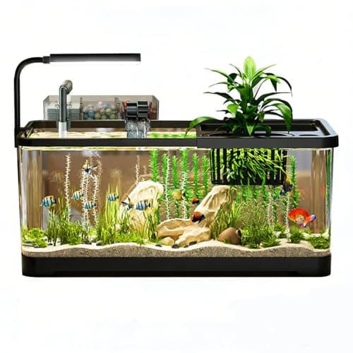 5 Gallon Fish Tank, Aquarium Plastic Starter Kit with Filter, led Light, sponge, and filter ball, Fish Tank for Betta, Plastic Nano Aquarium with Lid(18.5*7.87*8.07 inch / Black) (5 Gallon Fish Tank)