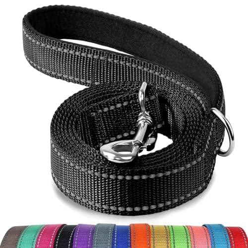 Joytale Reflective Dog Leash for Medium & Large Dogs, 6 FT x 1", Black