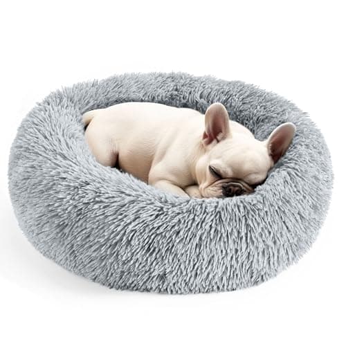 8 Best Cat Beds in 2026 — Cozy Picks for Curlers, Climbers, and Crate Nappers