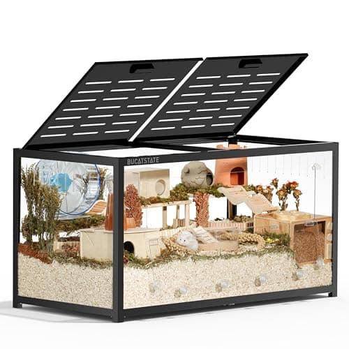 What is how big should a hamster cage be? A Complete 2026 Guide