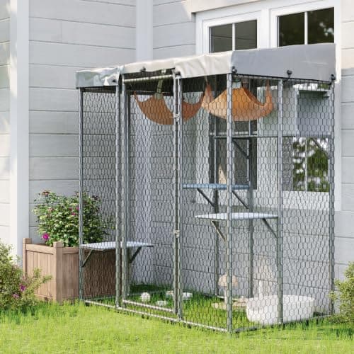 8 Best Walk-In Catios for Yards in 2026 — Spacious, Weather-Ready Enclosures for Safer Outdoor Time