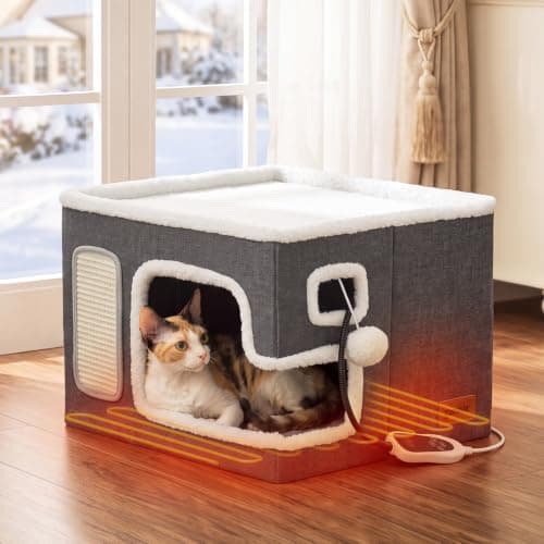 How to Choose the Best Heated Indoor Bed for Arthritic Cats in 2026: Complete Buying Guide