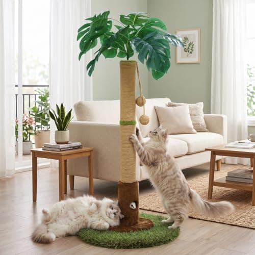 What is a Cat Tree Buying Guide? A Complete 2026 Guide