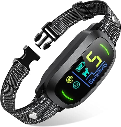 8 Best Anti Bark Collars in 2026 — Humane Training Picks for Quieter Homes