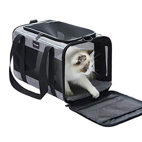 8 Best Cat Carriers in 2026 — Safer, Easier Travel for Cats Who Hate the Box
