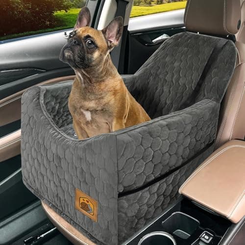 8 Best Dog Booster Seats for Car Travel in 2026 — Safer, Comfier Rides for Small and Medium Dogs