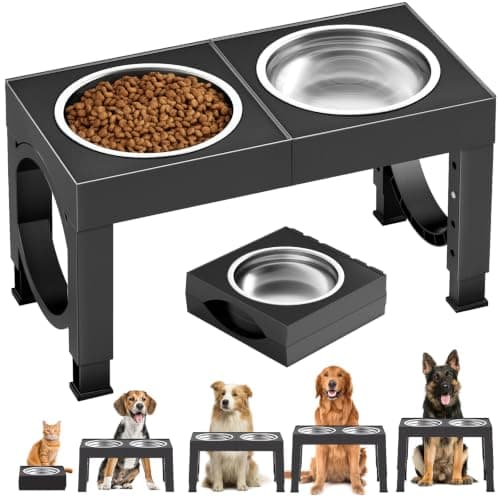 8 Best Elevated Dog Bowls in 2026 — Easier Feeding for Dogs That Need Better Posture