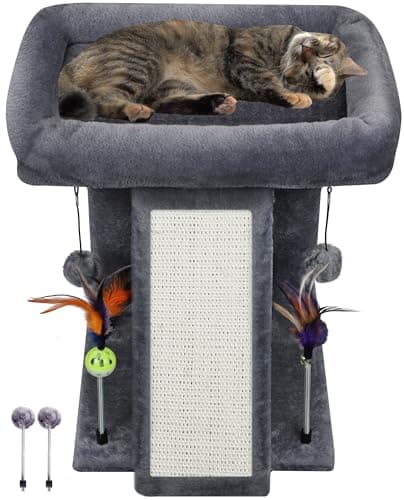 8 Best Cat Trees for Small Spaces in 2026 — Compact Picks That Save Floor Space