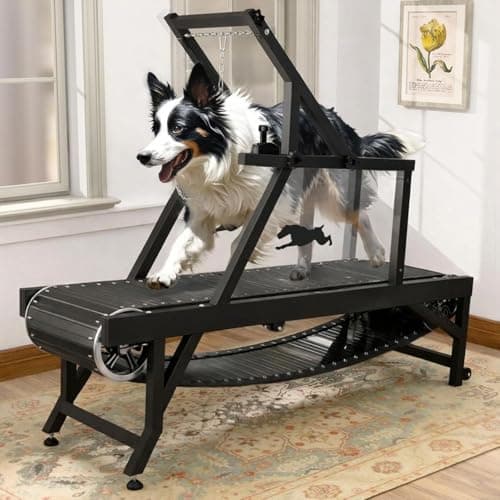 Dog Treadmill, HotFeed Dog Slat Mill for Medium Dogs, Doggy Treadmill with Brake & Plastic Track, Dog Pacer Treadmill to Keep Active and Fit, Up to 300LBS(Medium)