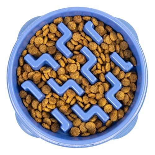 8 Best Slow Feeder Dog Bowls in 2026 — Better Mealtimes for Fast Eaters